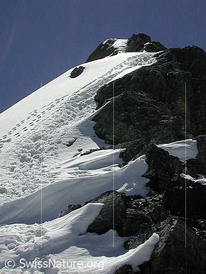 Foto: Im Aufstieg zur Bütlasse über die Normalroute, einige Minuten vom Gipfel entfernt.