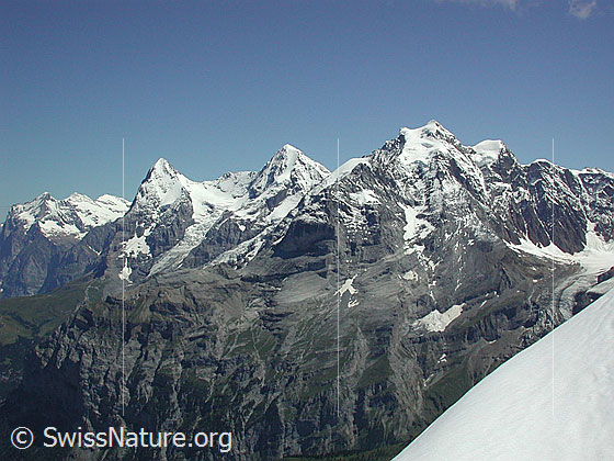 Foto: Im Aufstieg zur Bütlasse über die Normalroute. Blick auf Eiger, Mönch und Jungfrau.