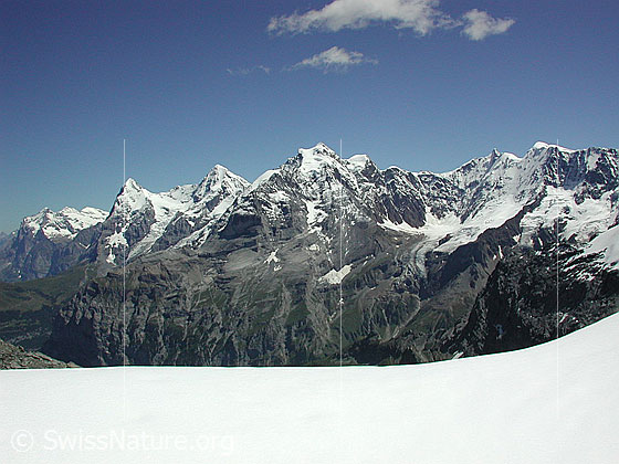 Foto: Im Aufstieg zur Bütlasse über die Normalroute. Blick auf Wetterhorn, Eiger, Mönch, Jungfrau und den Rottalkessel