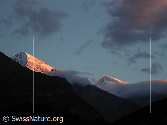 Foto: Abendstimmung über Altels und Rinderhorn