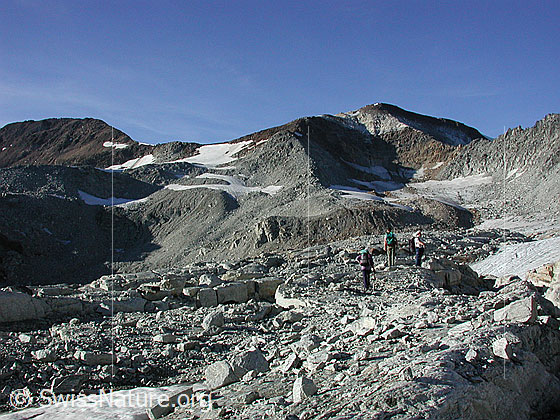 Foto: Hohsandhorn aus S (Tälligletscher)