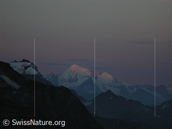 Foto: Morgenstimmung. Blick vom Tälli Richtung W auf Hillehorn, Weisshorn, Bishorn