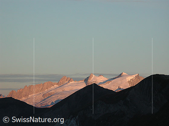 Foto: Morgenstimmung. Blick vom Tälli Richtung NW auf Gross Fusshorn, Rotstock und Geisshorn.