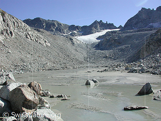 Foto: Schwemmebene. Im Hintergrund Tälligletscher und Hohsandjoch