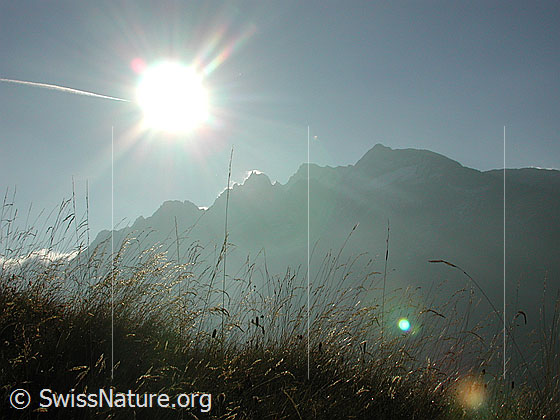 Foto: Im Aufstieg. Blick auf die Schinhorn-Gruppe.