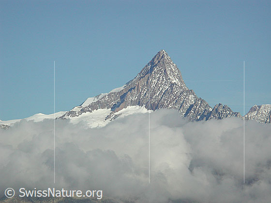 Foto: Finsteraarhorn von SE