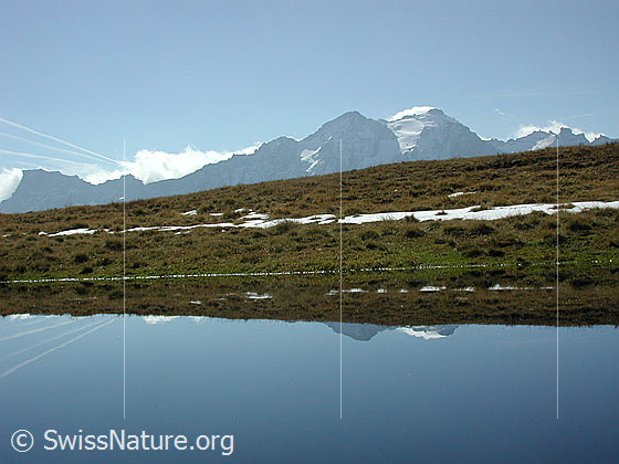 Foto: Schwarzhorn von N. Spiegelung