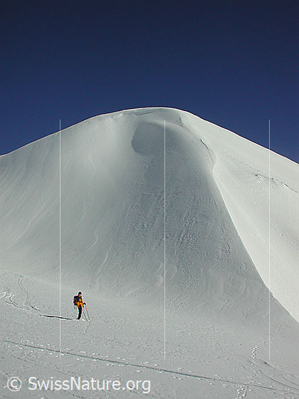 Foto: Skitourenfahrerin vor dem Gipfelaufbau des Gandhorns