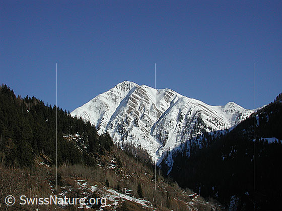 Foto: Eggerhorn von W