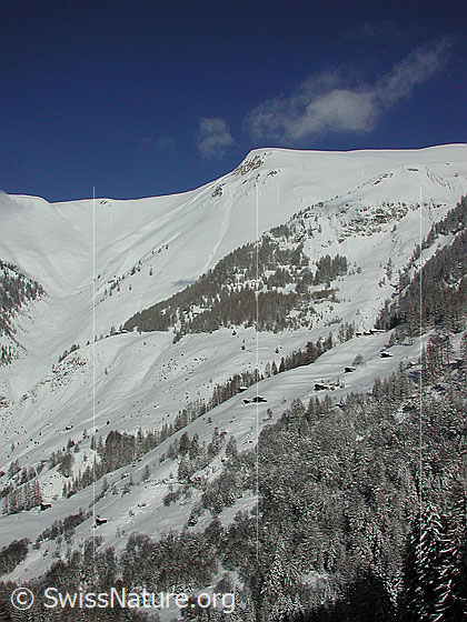 Foto: Blick auf das Gross Fülhorn.