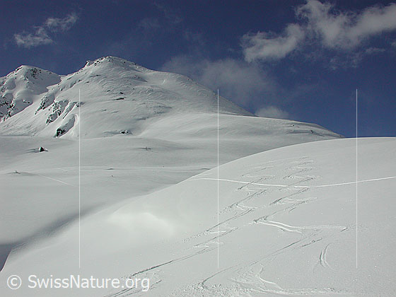 Foto: Abfahrtsspuren. Im Hintergrund der Gipfel des Hirli.