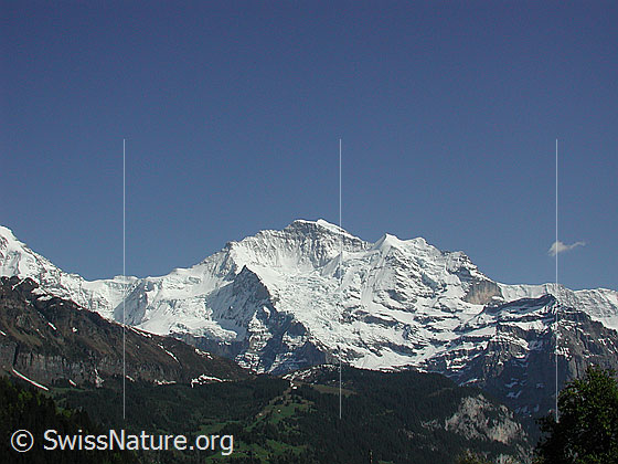 Foto: Jungfraujoch und Jungfrau von Isenfluh.