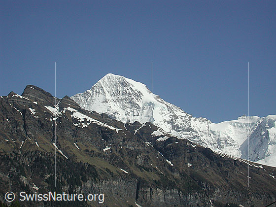 Foto: Mönch und Jungfraujoch von Isenfluh. Der höchste Punkt im Vordergrund ist der Tschuggen.