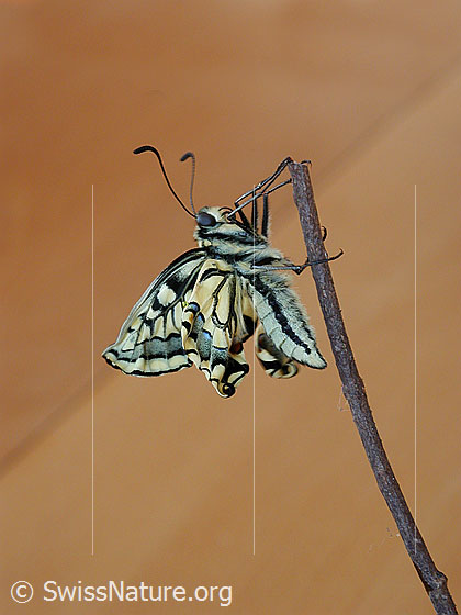 Photo: 