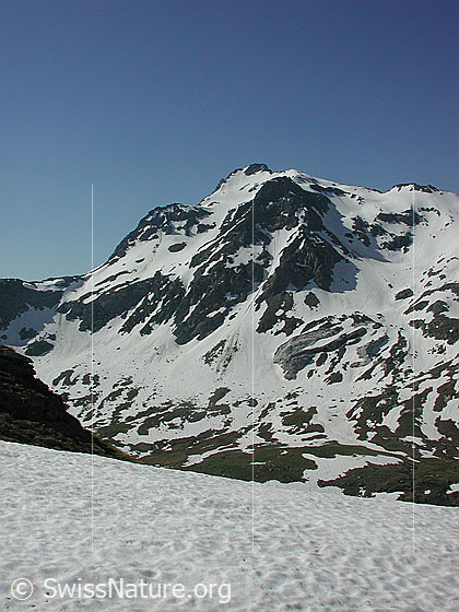Foto: Albrunhorn von N (Mittlenbärg)