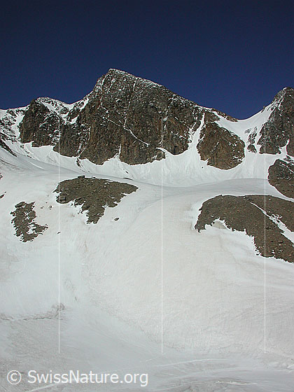 Foto: Turbhorn von SW (Turbesee)