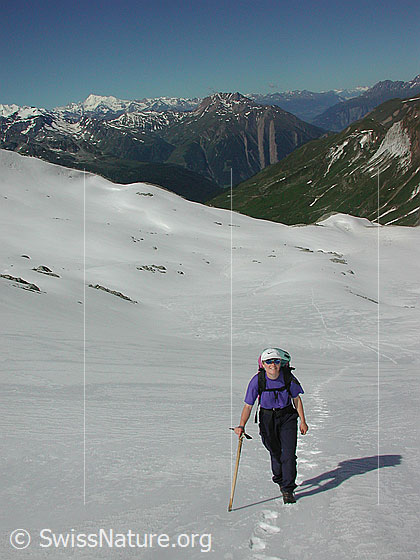 Foto: Im Aufstieg zum Mittlebärgpass (3044m, von der Turbealp). Blick zurück über das Binntal auf die Walliser Alpen.