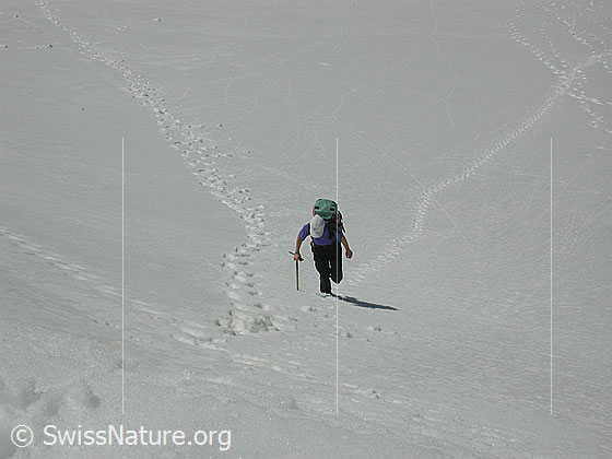 Foto: Im Aufstieg zum Mittlenbärgpass, 3044m