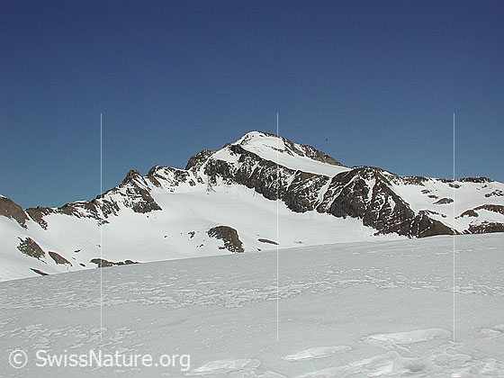 Foto: Blinnenhorn vom Mittlenbärgpass, 3044m