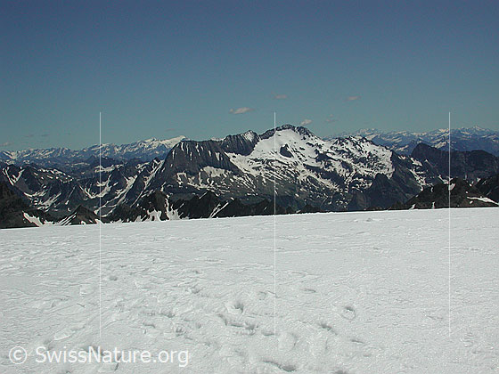 Foto: Blick vom Gipfel des Hohsandhorns zum Pizzo Basodino. Im Hintergrund ist das Rheinwaldhorn erkennbar.