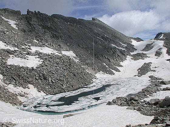 Foto: Schwarzsee. Mit Eisschollen bedeckt. Im Hintergrund: Grosses Schinhorn und Mittelbergpass.