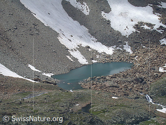 Foto: See unterhalb des Geisspfadsees (CH-Seite)