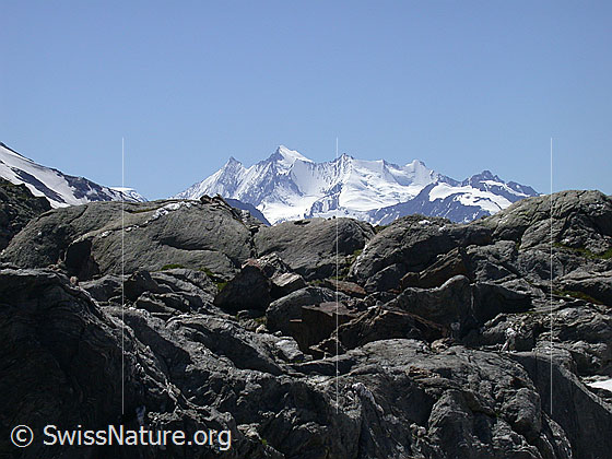 Foto: Blick vom Blauseegebiet Richtung W auf die Mischabelgruppe. Sichtbar sind von l: Täschhorn, Dom, Lenzspitz, Nadelhorn, Stecknadelhorn, Hohberghorn, Dürrenhorn.