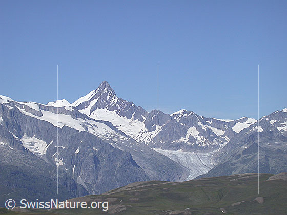 Foto: Blick vom Blauseegebiet Richtung N auf Gross Wannenhorn und Finsteraarhorn.