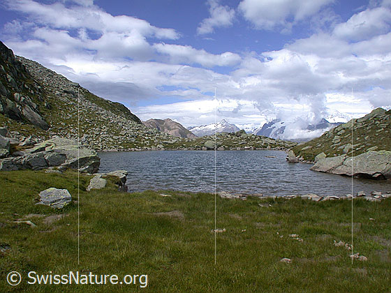 Foto: Schaplersee. Blick über den See Richtung NW (Berner Alpen)