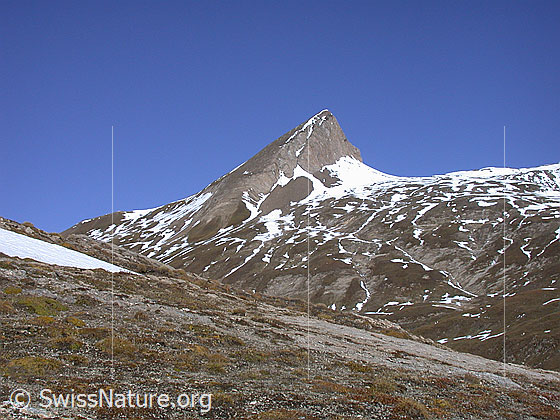 Foto: Blick Furggulti Richtung NNW (Holzjihorn)