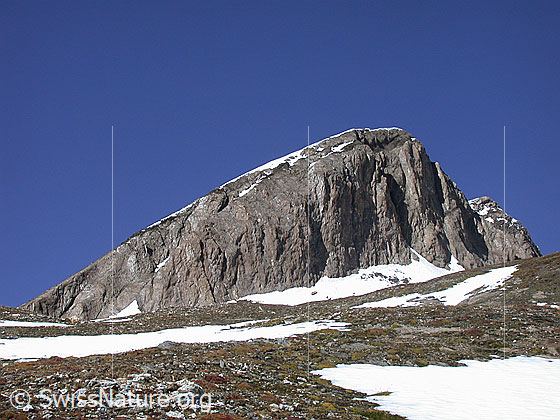 Foto: Holzjihorn von SE