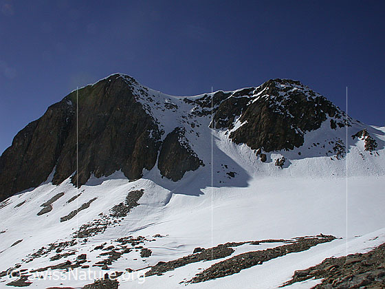 Foto: Blick auf den Gipfelaufbau des Holzjihorns von Osten.