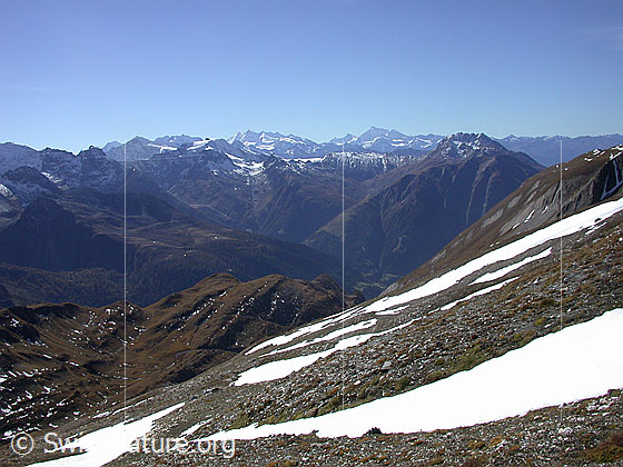 Foto: Blick Richtung SW über das Binntal auf die Walliser Alpen. Zu sehen sind u.a. Mischabel- und Weisshorngruppe. Im Vordergrund das Gandhorn.