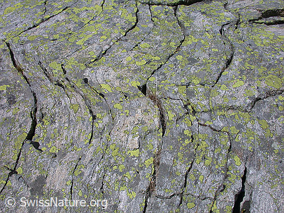 Foto: Interessante Schichtung in Gneis.