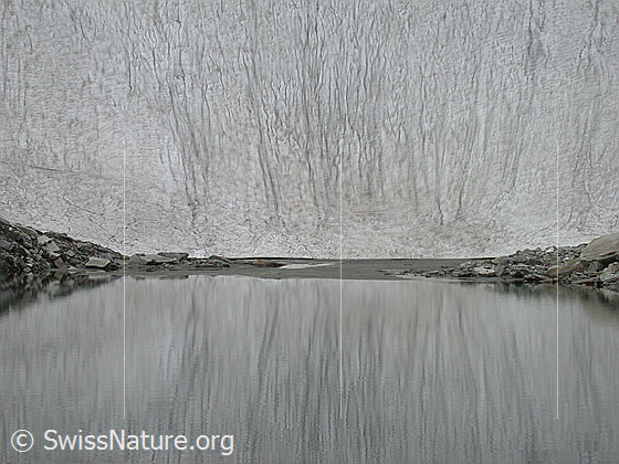 Foto: Spezielle Spiegelung im Mättitalsee.