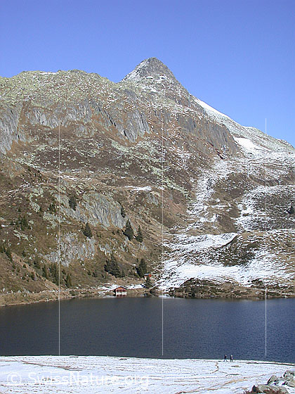 Foto: Bettmersee und Bettmerhorn von SW.