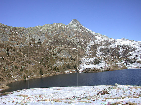 Foto: Bettmersee und Bettmerhorn von SW.