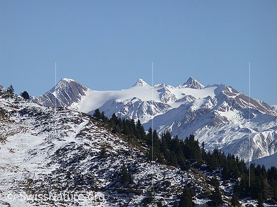 Foto: Rappehorn, Ober Rappehorn und Turbhorn von W (Bettmeralp)