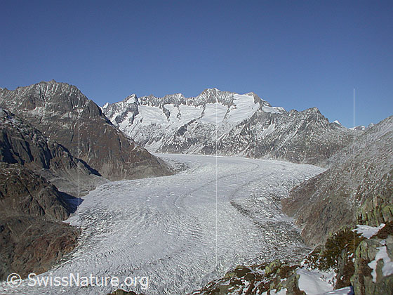 Foto: Aletschgletscher von der Moosfluh. Im Hintergrund Wannenhorngruppe.
