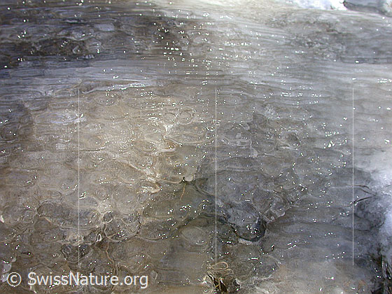 Foto: Natürliches Kunstwerk aus Eis.