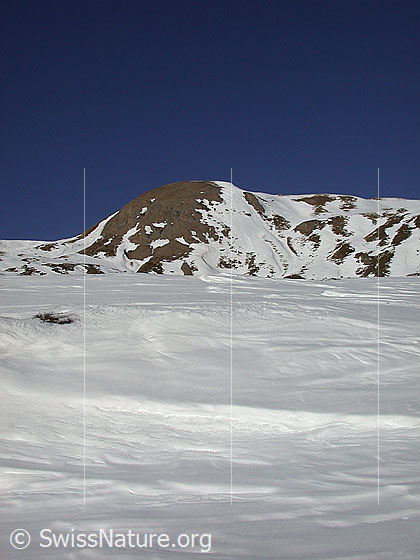 Foto: Gandhorn von S (Gand).