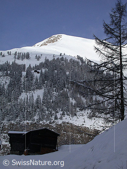 Foto: Frisch verschneites kleines Fülhorn von SE (Imfeld)
