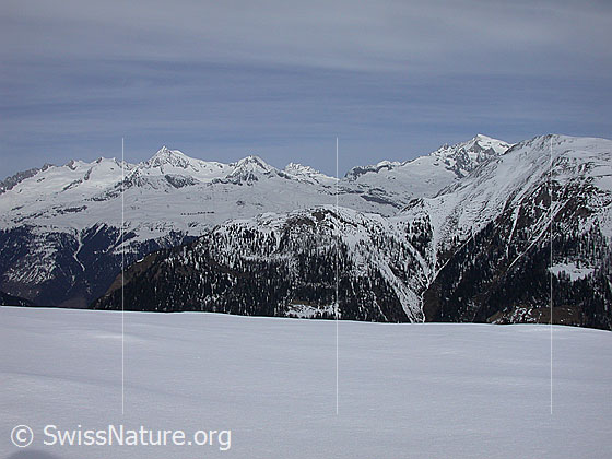 Foto: Berner Alpen von S (Hockbode). Sichtbar sind u.a. Aletschhorn, Jungfrau und das Gross Wannenhorn.