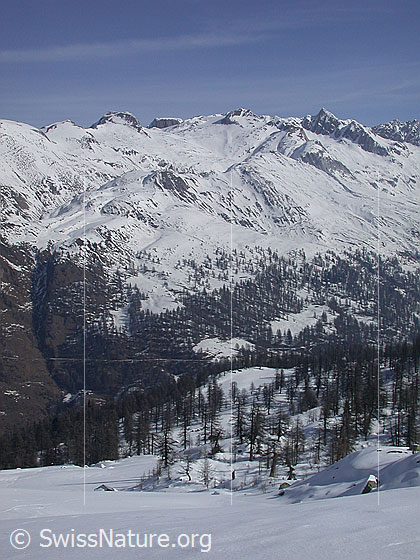 Foto: Gebiet Gandhorn - Rappehorn - Turbhorn von SW (Hockbode)