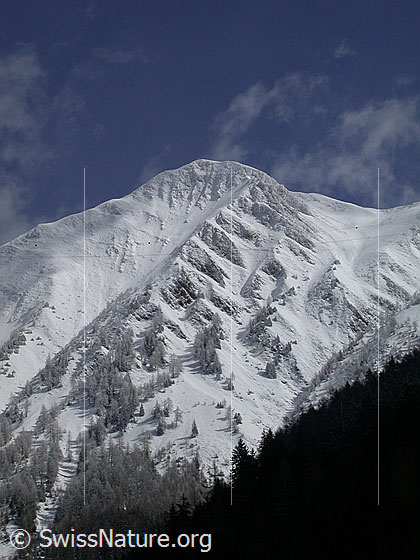Foto: Frisch verschneites Eggerhorn von W (Ausserbinn). Davor der Schlättergrabe.