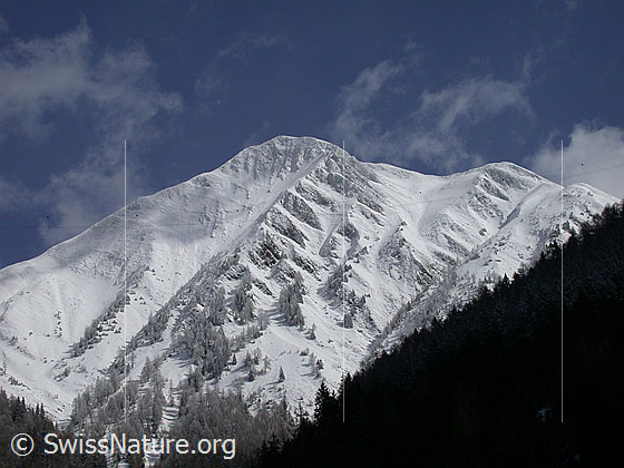 Foto: Frisch verschneites Eggerhorn von W (Ausserbinn). Davor der Schlättergrabe.