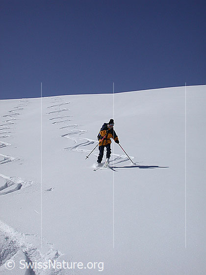 Foto: Skitourenfahrerin in der Abfahrt vom Stockhorn.