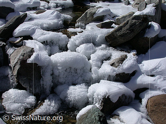 Foto: Kunstwerke aus Eis in Bergbach