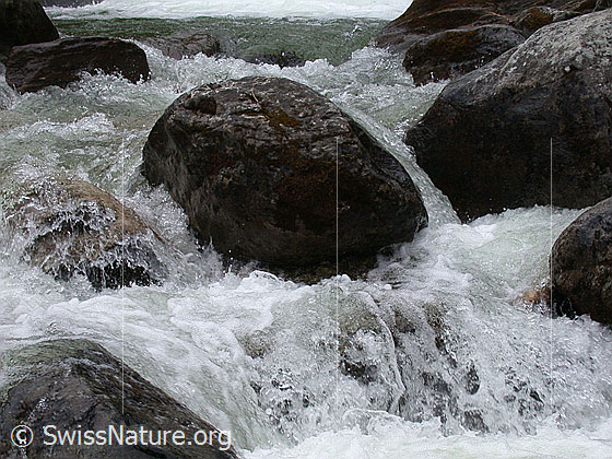 Foto: Mässerbach: Sprudelnder Bergbach mit Felsblöcken
