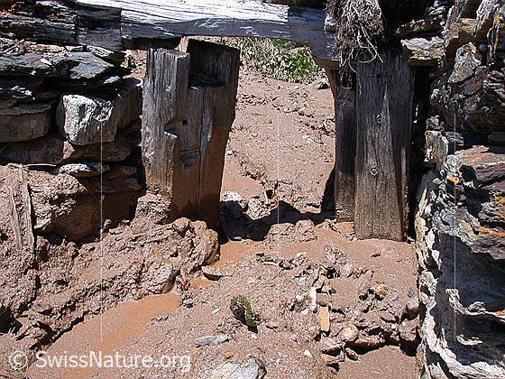 Foto: Erosion. Eingang einer verfallenden Alphütte oberhalb Imfeld. Der Eingang ist zur Hälfte mit Schlamm und Geröll gefüllt.